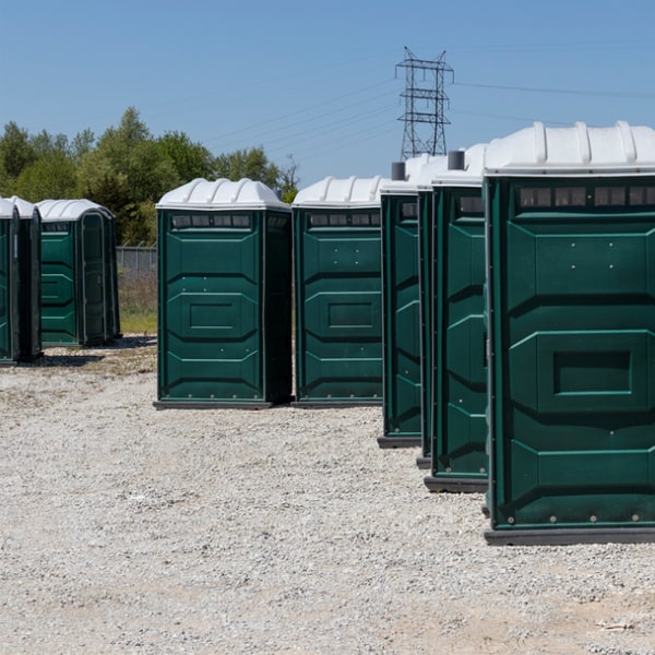 can i rent additional amenities such as sinks or hand sanitizing stations with the event porta potties